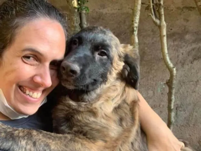 Cachorro ra a SRD idade 2 a 6 meses nome Raj