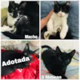 Não tem.