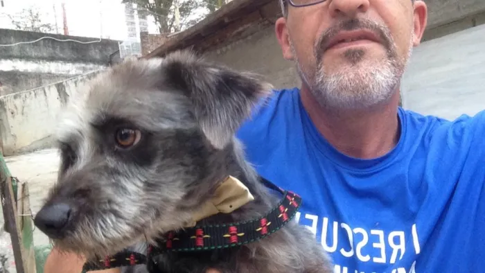 Cachorro ra a SRD idade 1 ano nome Lord