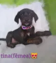 Tina 