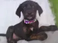 Tina 