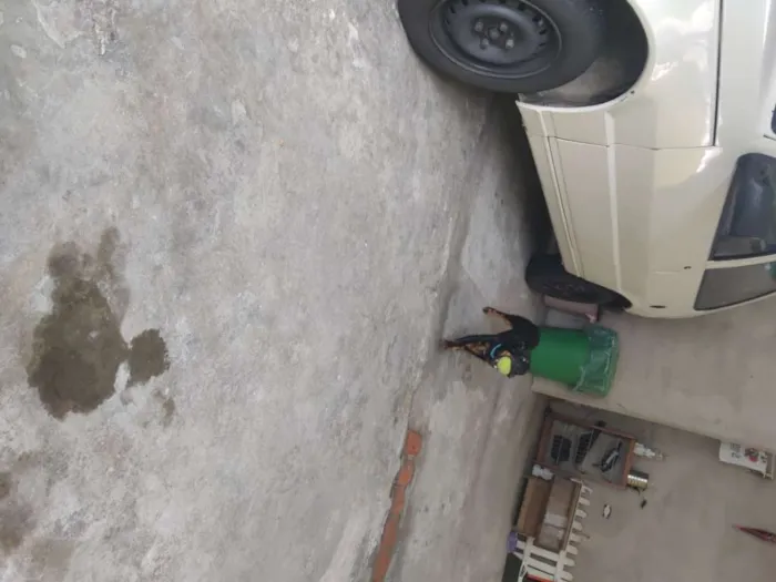 Cachorro ra a Vira lata idade 7 a 11 meses nome Jade