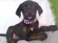 Tina 