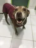 Nina