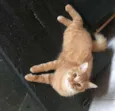 Lucky