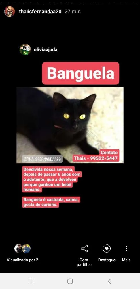 Gato ra a Srd idade 6 ou mais anos nome Banguela