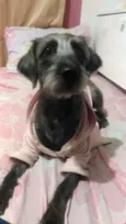 Ayla
