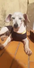 Chicó
