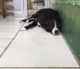 Desconhecido 