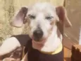 Chicó