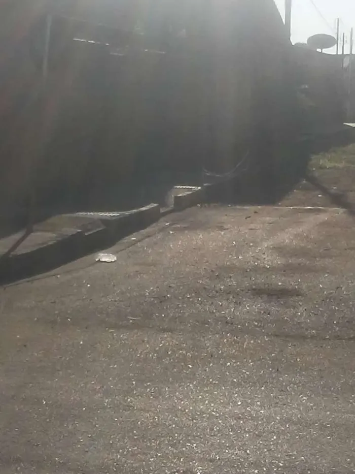 Cachorro raça Vira-lata idade 6 ou mais anos nome Spayck
