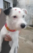 Luma 
