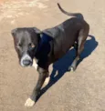 Eros 