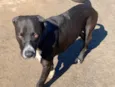 Eros 
