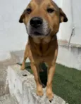 Coco e Canela