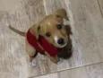 Anakin