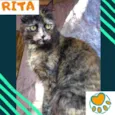 Rita
