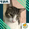 Tom
