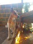 Indefinido