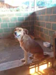 Indefinido