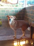 Indefinido