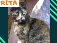Rita