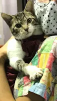 Matilda
