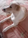 Não sei