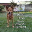 Ciro