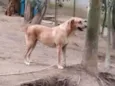 Olívia