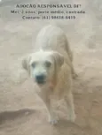 Mel