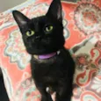 Esmeralda