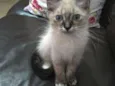 Louise