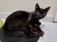 Rubi 