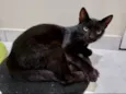 Rubi 