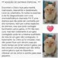 Chico