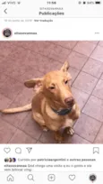 Scooby
