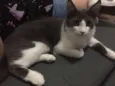Bob