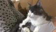 Bob