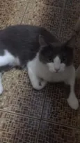 Bob