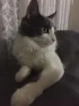 Bob