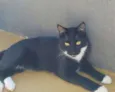 Félix