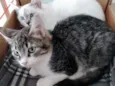 Fred e Nina