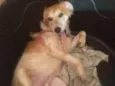 Teka