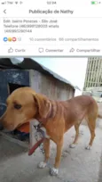 Não sei 