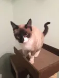 Matilda