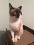 Matilda