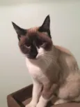 Matilda