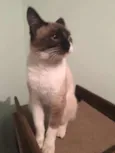 Matilda