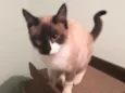 Matilda